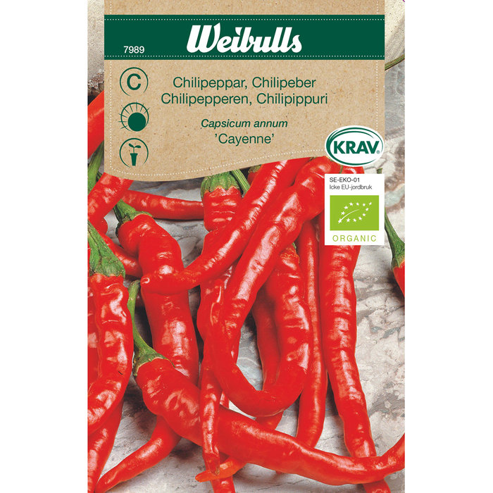 Chilipepper 'Cayenne' økologisk 